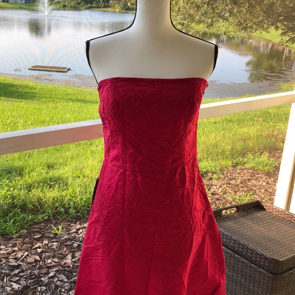 Ann Taylor Dresses & Skirts - Brand New Ann Taylor Strapless Dress